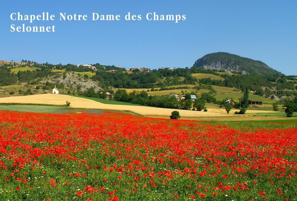 Le Relais De La Forge Hotel Selonnet ภายนอก รูปภาพ